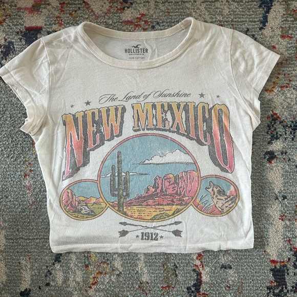 Hollister Tops - Hollister New Mexico Crop Top